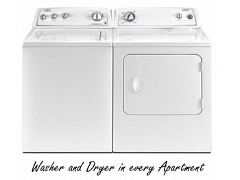 Image show full size Washer Dryer in every unit